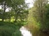 thumbs_de-dinkel1