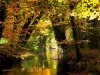 thumbs_de-dinkel2
