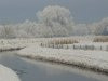 thumbs_dinkel-in-de-winter