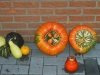 thumbs_pompoenen